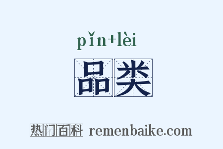 品类是什么意思的图片